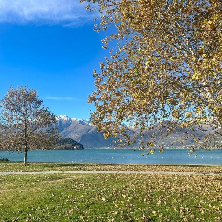 Residence Lario Village - Appartamento con 1 Camera da Letto - 26