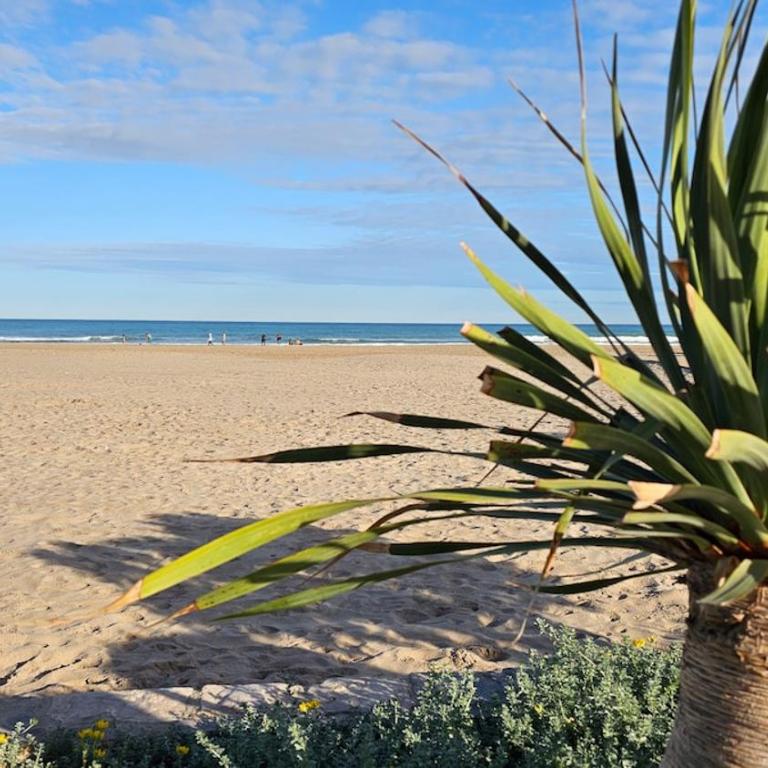 Relax Mediterráneo a 500m de Playa AAC y Wifi6 - Apartamento de 3 dormitorios - 57