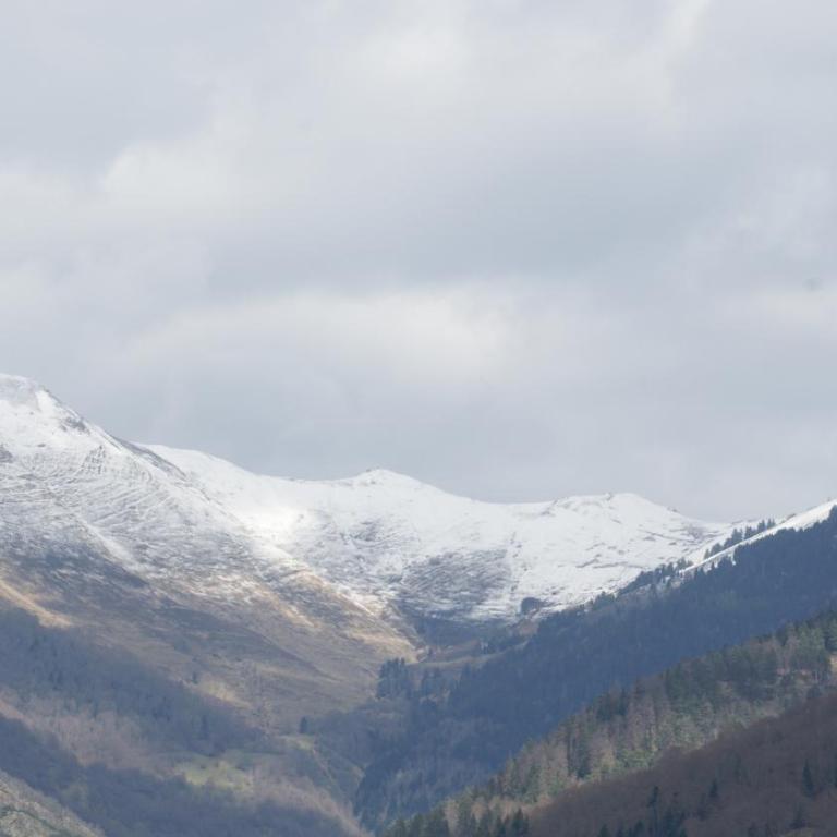 Appartement Reines des Pyrénées, T2, entier, centre Luchon, tarif cure thermale, wifi, casier à skis, ascenseur - Apartment mit 1 Schlafzimmer - 10