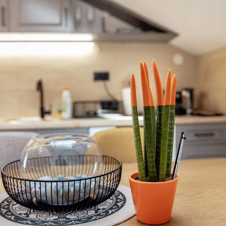 Old Town Comfort Apartment Sava - Apartman sa 2 Spavaće Sobe - 9