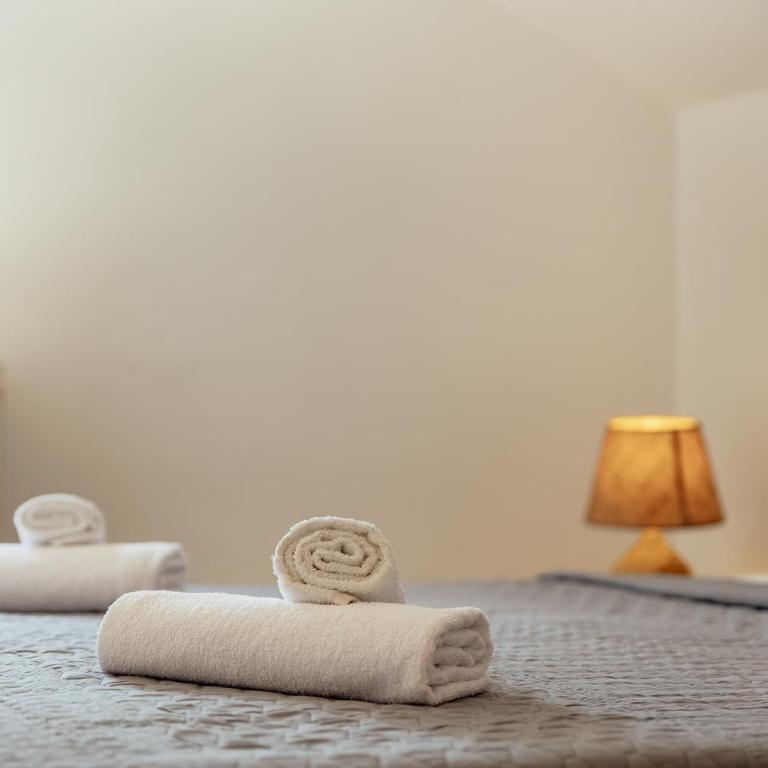 Old Town Comfort Apartment Sava - Apartman sa 2 Spavaće Sobe - 24