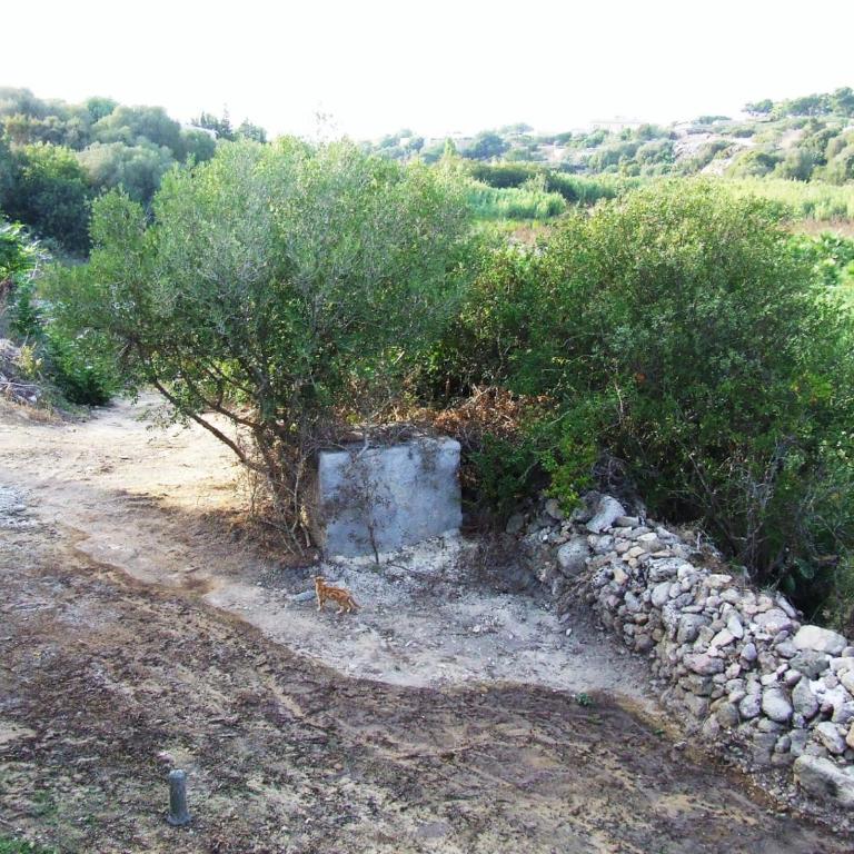 a SCIUMARA - Appartamento con 2 Camere da Letto e Vista Giardino - 3