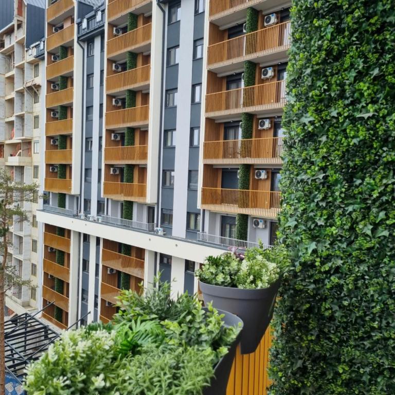 Zlatibor Rojal Garden 643 - One-Bedroom Apartment - 16