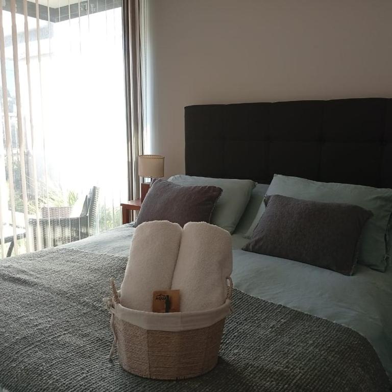 Departamento Edificio Aqua Pucón - One-Bedroom Apartment - 5