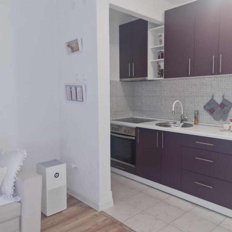 Apartman Kraljevici - One-Bedroom Apartment - 10
