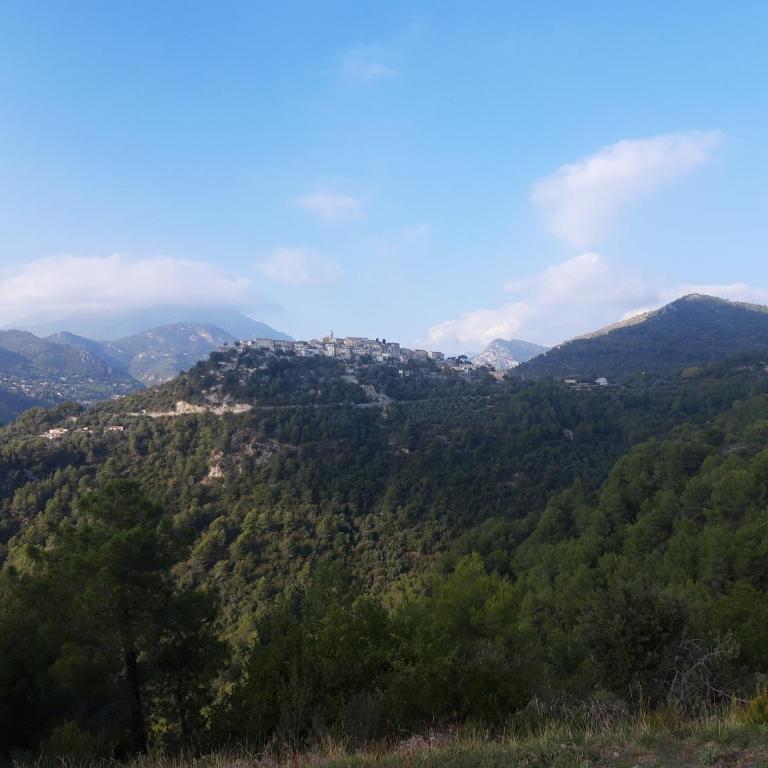 Nice Studio with terrace and free parking - Appartement 1 Chambre - 1