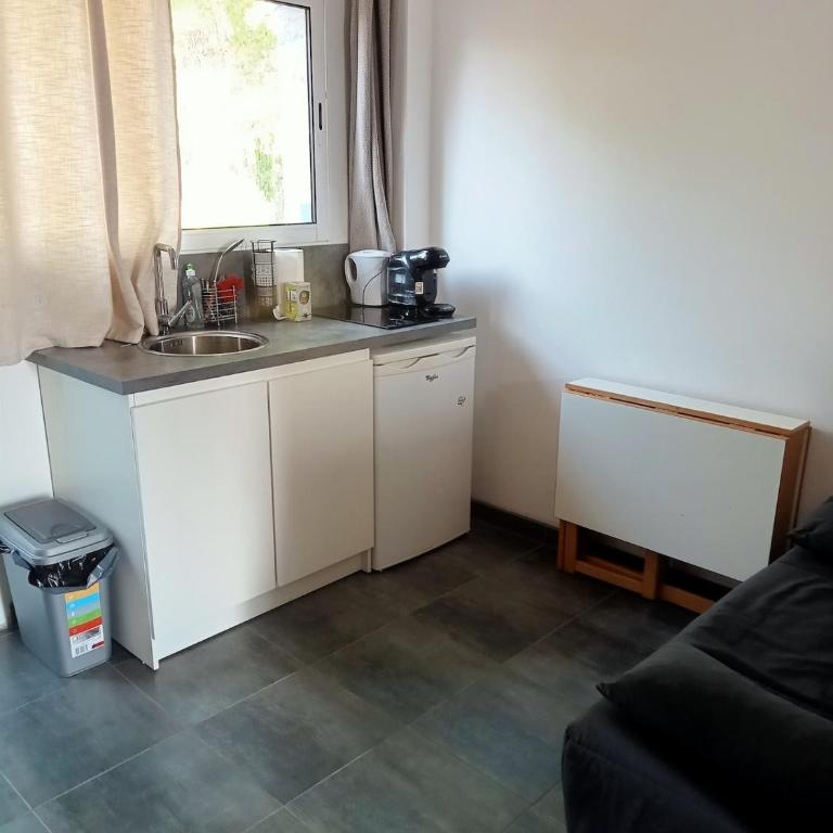 Nice Studio with terrace and free parking - Appartement 1 Chambre - 5
