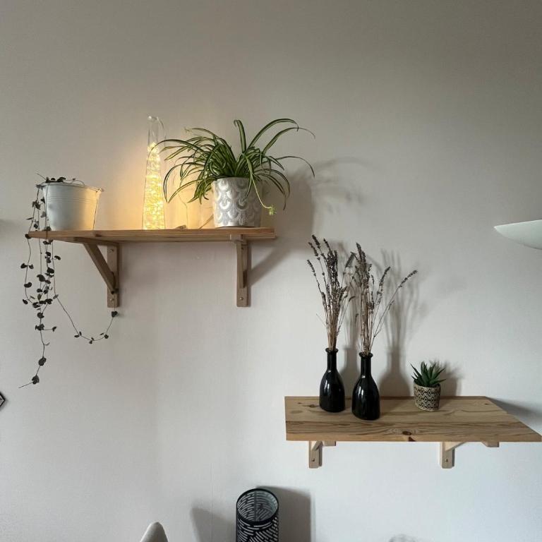 Le Studio du Bosquet - Appartement 1 Chambre - 9