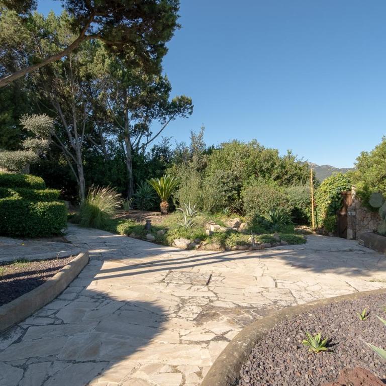 Exclusive Villa in Porto Rotondo with jacuzzipool - Villa - 87
