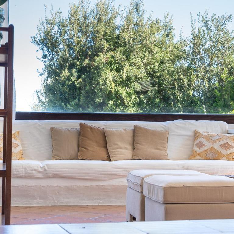 Exclusive Villa in Porto Rotondo with jacuzzipool - Villa - 10