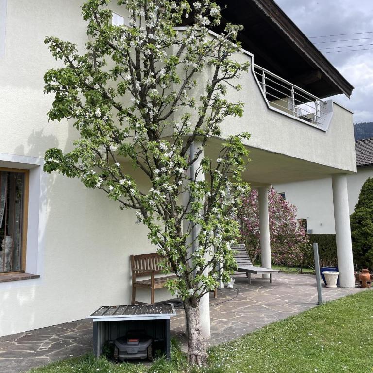 Haus Lang - Apartment - Erdgeschoss - 8
