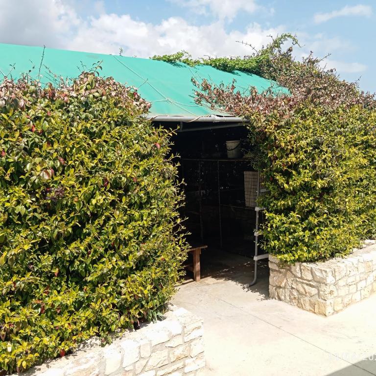 Giaster 2 - Two-Bedroom House - 20