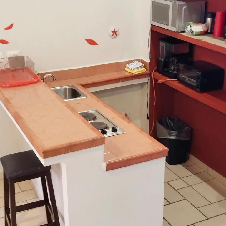 Studio in the heart of Cabo San Lucas - Apartamento de 1 dormitorio - 4