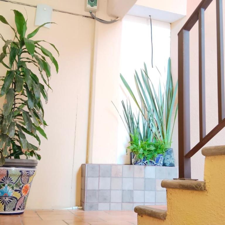 Studio in the heart of Cabo San Lucas - Apartamento de 1 dormitorio - 13