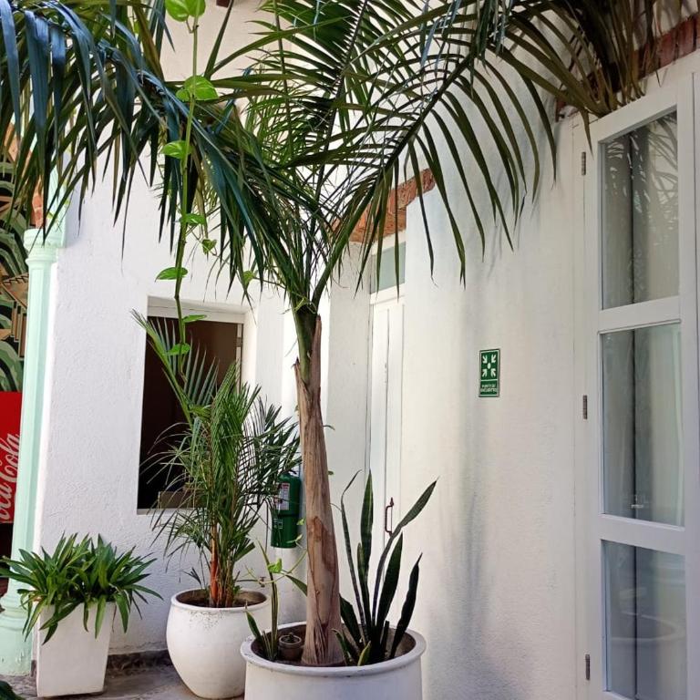 Casa Verde Hotel - Suite Dúplex - 4