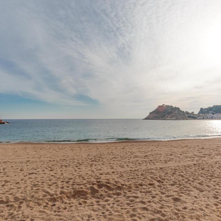 Lets Holidays garden house in front of the beach - Apartamento de 2 dormitorios - 28