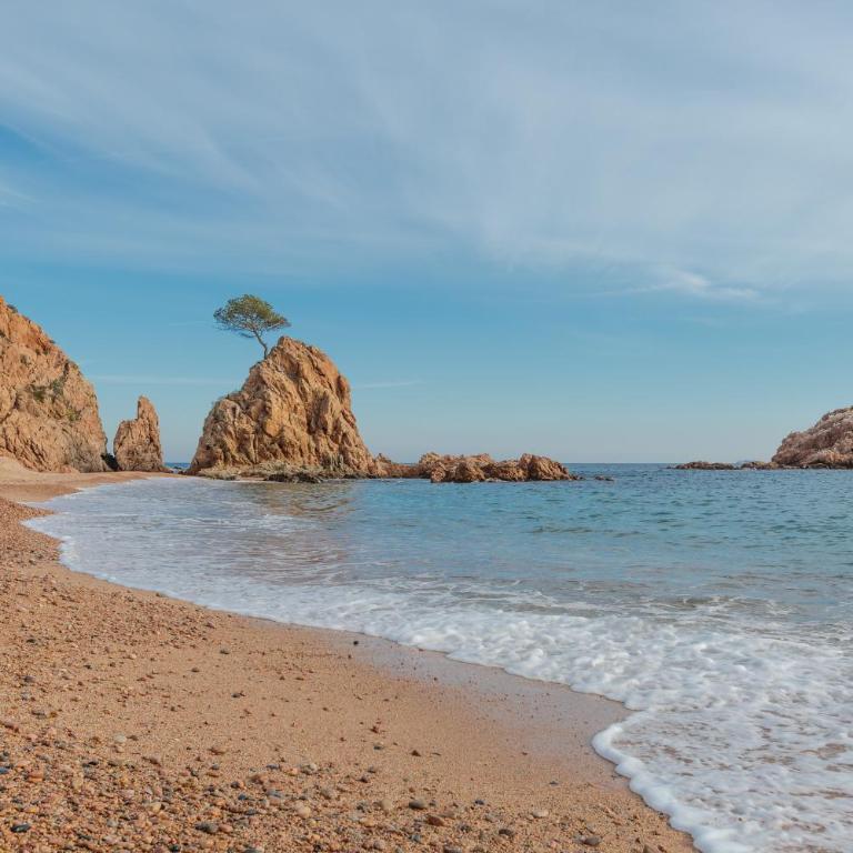 Lets Holidays garden house in front of the beach - Apartamento de 2 dormitorios - 29
