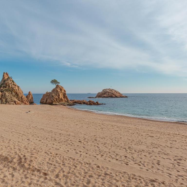 Lets Holidays garden house in front of the beach - Apartamento de 2 dormitorios - 31