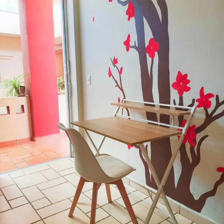 Studio in the heart of Cabo San Lucas - Appartement 1 Chambre - 29