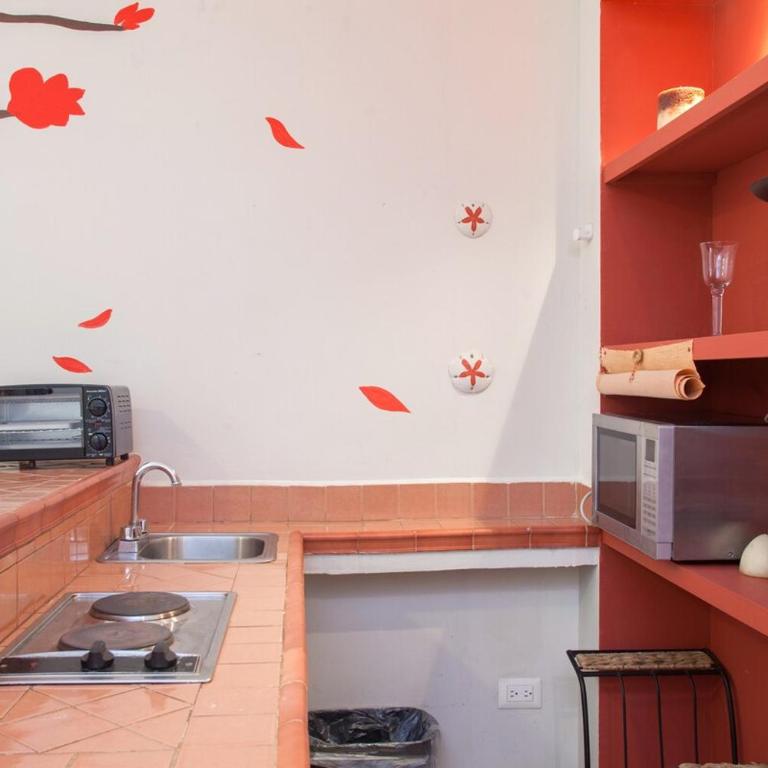 Studio in the heart of Cabo San Lucas - Appartement 1 Chambre - 30