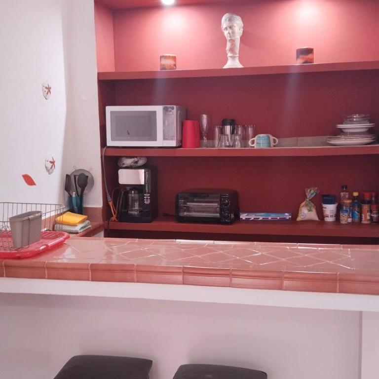 Studio in the heart of Cabo San Lucas - Appartement 1 Chambre - 36