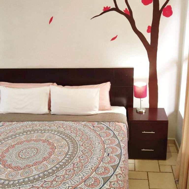 Studio in the heart of Cabo San Lucas - Appartement 1 Chambre - 33