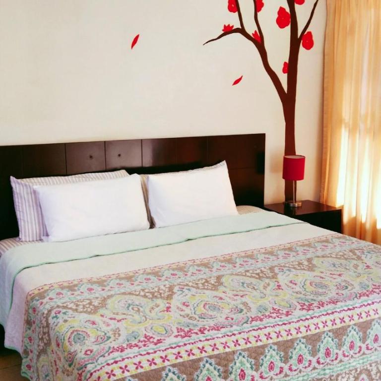 Studio in the heart of Cabo San Lucas - Appartement 1 Chambre - 38