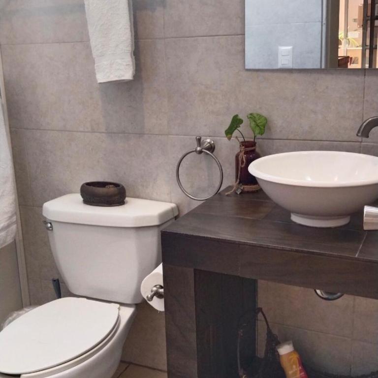 Studio in the heart of Cabo San Lucas - Appartement 1 Chambre - 7
