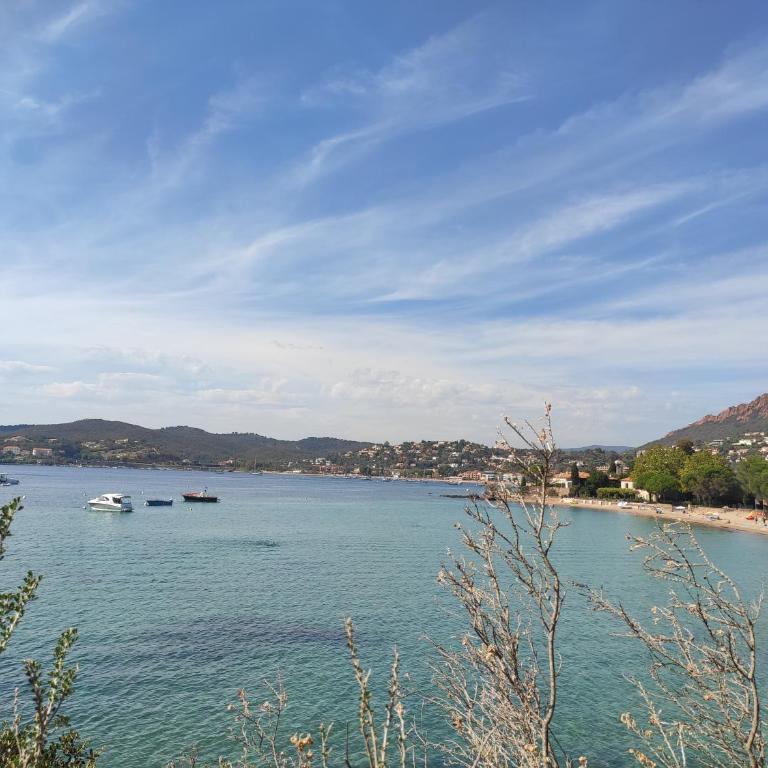 T2 Vue mer, Jardin clos, Village vacances Cap Esterel St Raphaël - Apartment mit 1 Schlafzimmer - 43