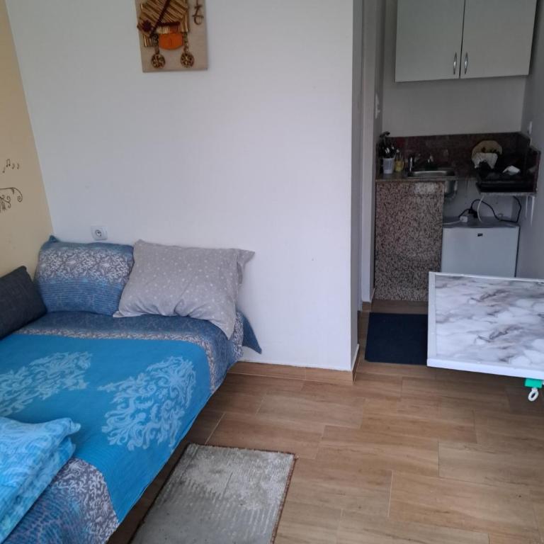 Apartmani Manić - Mala Dvokrevetna Soba sa Bračnim Krevetom - 4