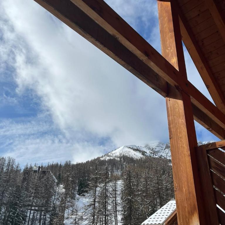 Résidence Albane, T3 entièrement refait - Appartamento con 2 Camere da Letto e Balcone - 19