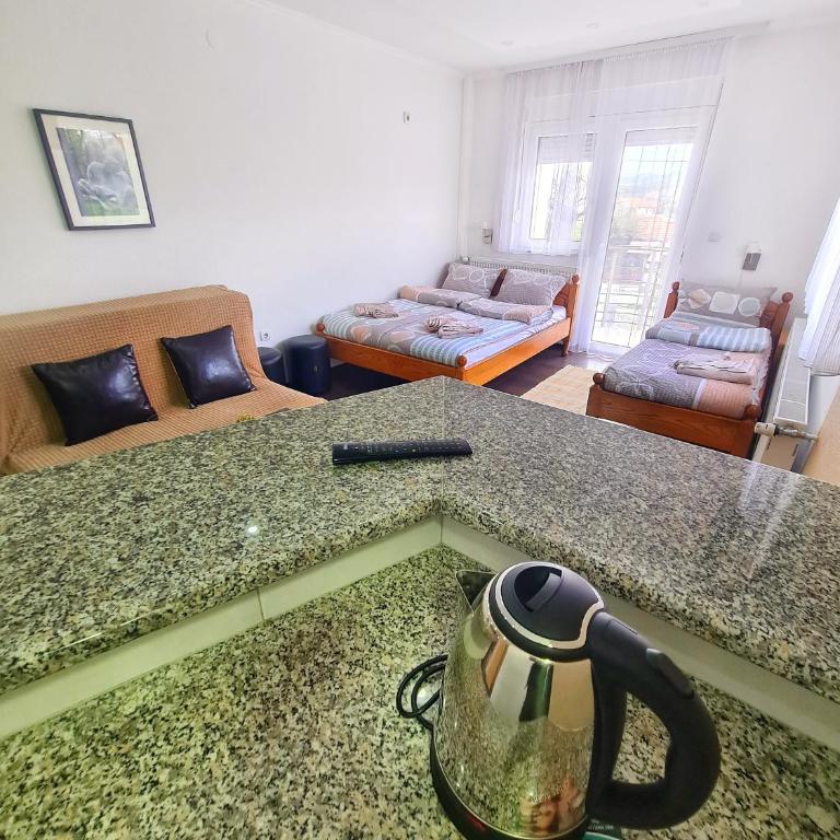 Vila Aleksandra 1 Sokobanja - Porodični Studio - 2