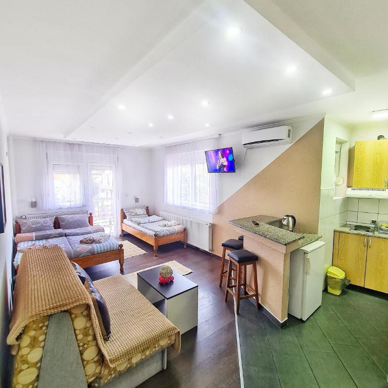 Vila Aleksandra 1 Sokobanja - Porodični Studio - 4