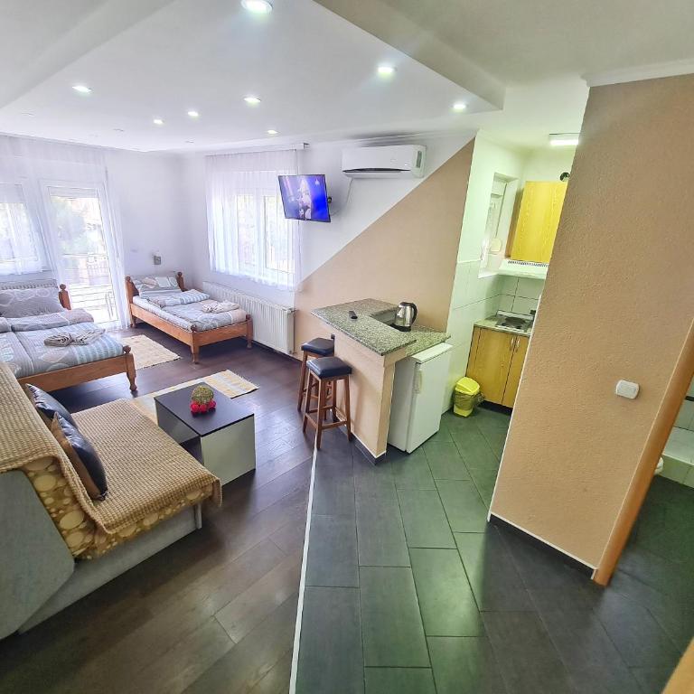 Vila Aleksandra 1 Sokobanja - Porodični Studio - 5