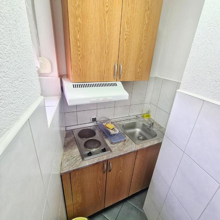 Vila Aleksandra 1 Sokobanja - Porodični Studio - 8
