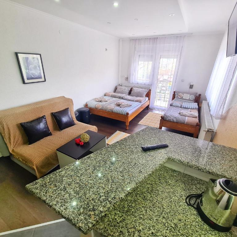 Vila Aleksandra 1 Sokobanja - Porodični Studio - 13
