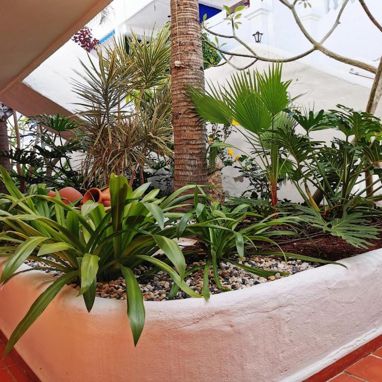 Royal Panorama Penthouse - Apartamento de 1 dormitorio - 45