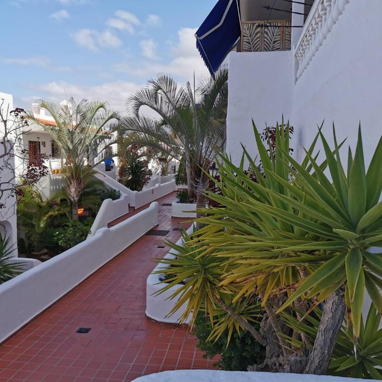 Royal Panorama Penthouse - Apartamento de 1 dormitorio - 43