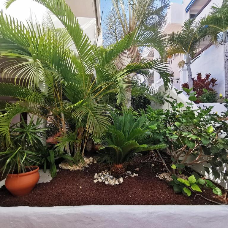 Royal Panorama Penthouse - Apartamento de 1 dormitorio - 37