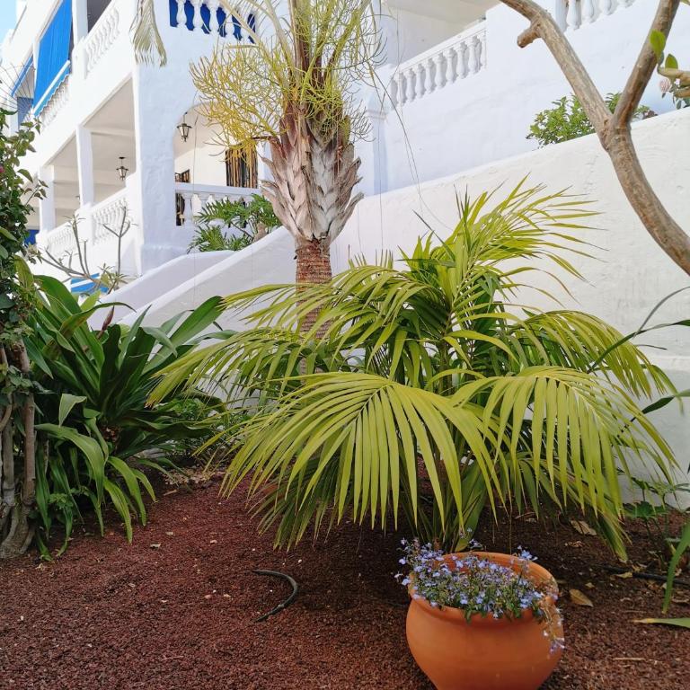 Royal Panorama Penthouse - Apartamento de 1 dormitorio - 52