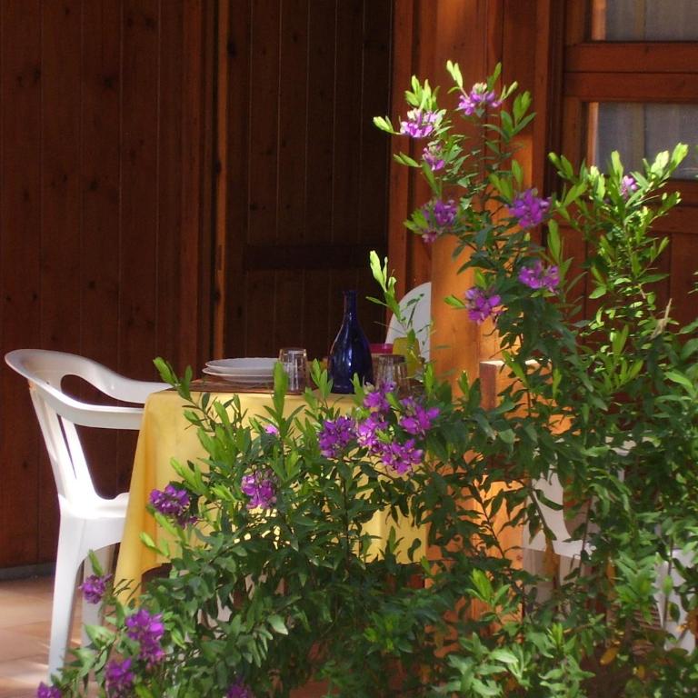 Camping Village Riviera - Bungalow (2 Adults) - 5