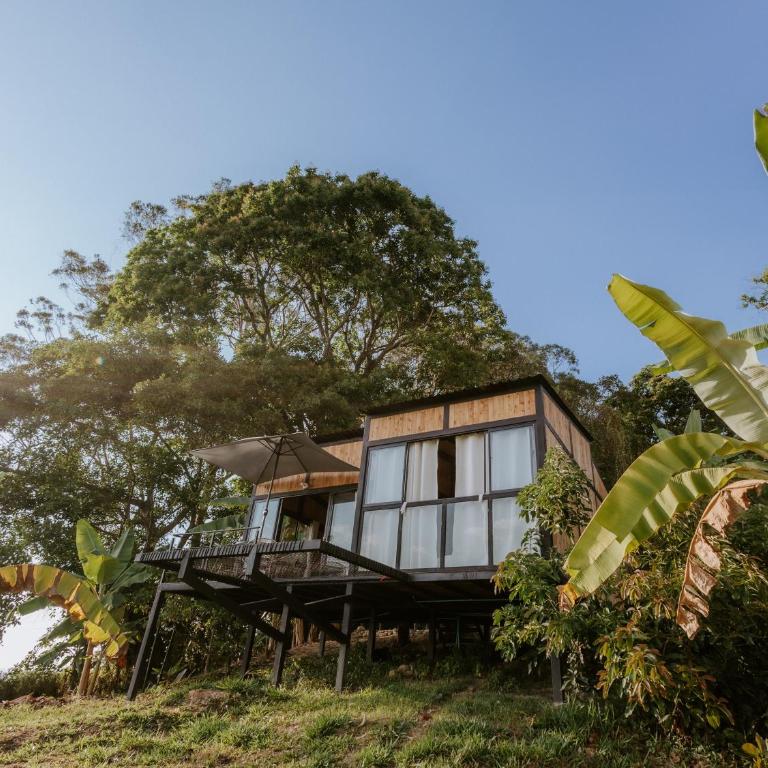 Copoazú Glamping - Quadruple Room with Mountain View - 1