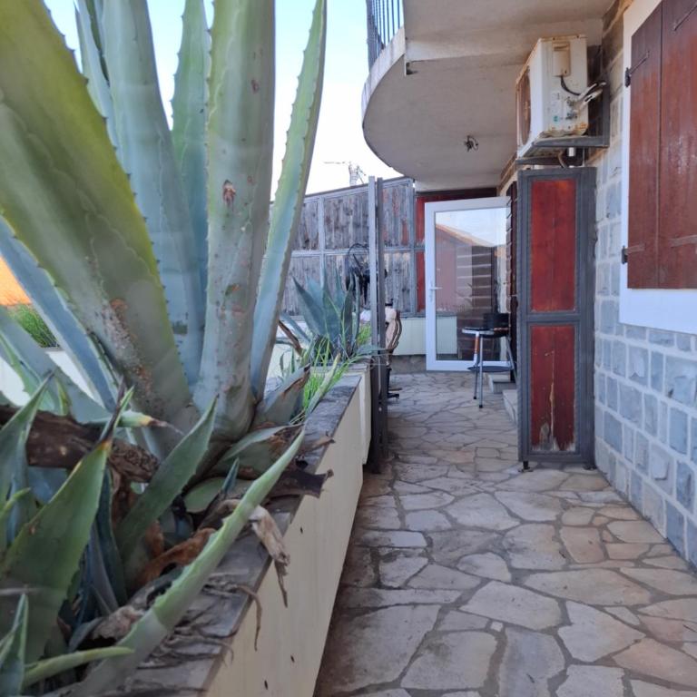 Apartment Bigovo - Triple Room with Sea View - 6