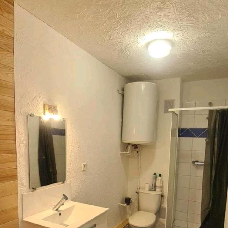 PLEIN CENTRE VILLE, parking gratuit - Appartement 1 Chambre - 4