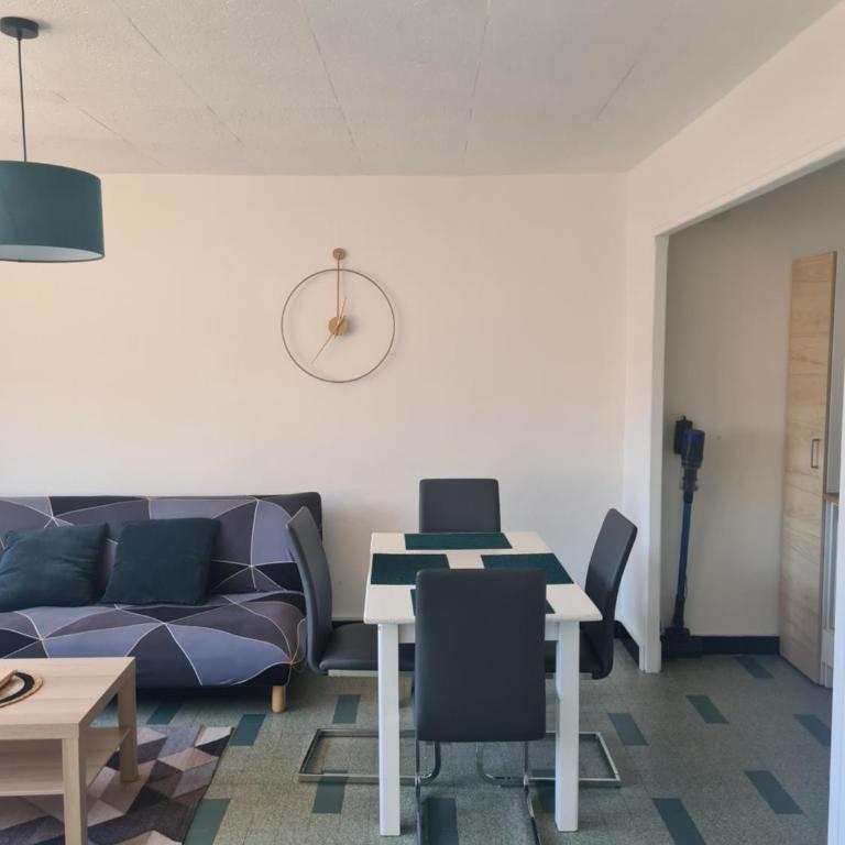 PLEIN CENTRE VILLE, parking gratuit - Appartement 1 Chambre - 6