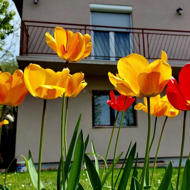Apartman Nađa - Porodični Apartman s 1 Spavaćom Sobom - 26