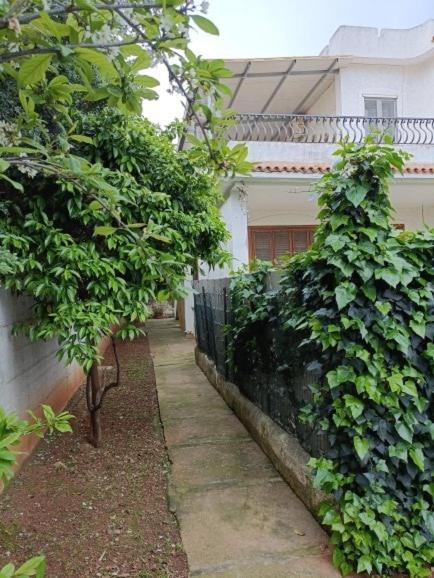 Appartamento Casa Florio Mondello - Appartamento con 2 Camere da Letto - 9