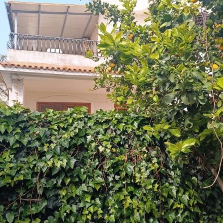 Appartamento Casa Florio Mondello - Appartamento con 2 Camere da Letto - 22
