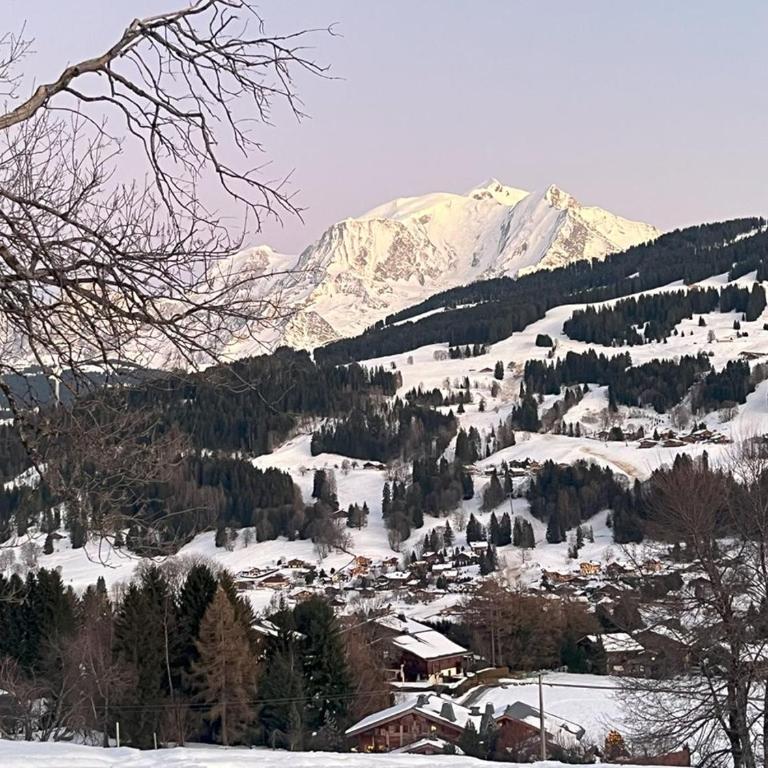 BARMADZA Mazots de Charme - Chalet Supérieur - 25