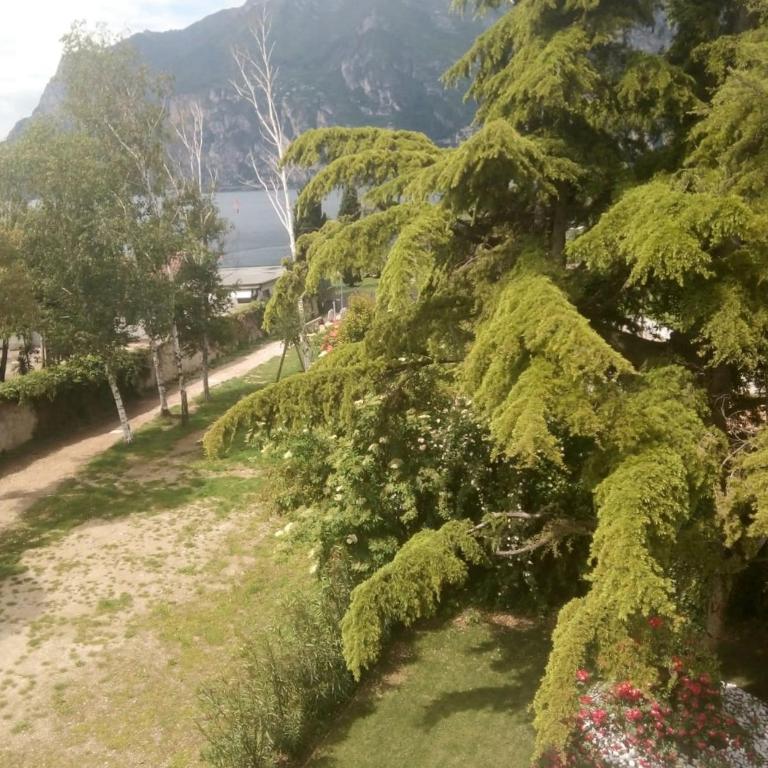 Villa Torbole - Camera Deluxe Matrimoniale/Doppia con Letti Singoli con Vista Lago - 7